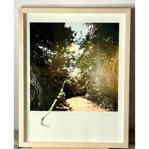 Le chemin (printemps)- Limited Edition Embellished Photograph, Signed